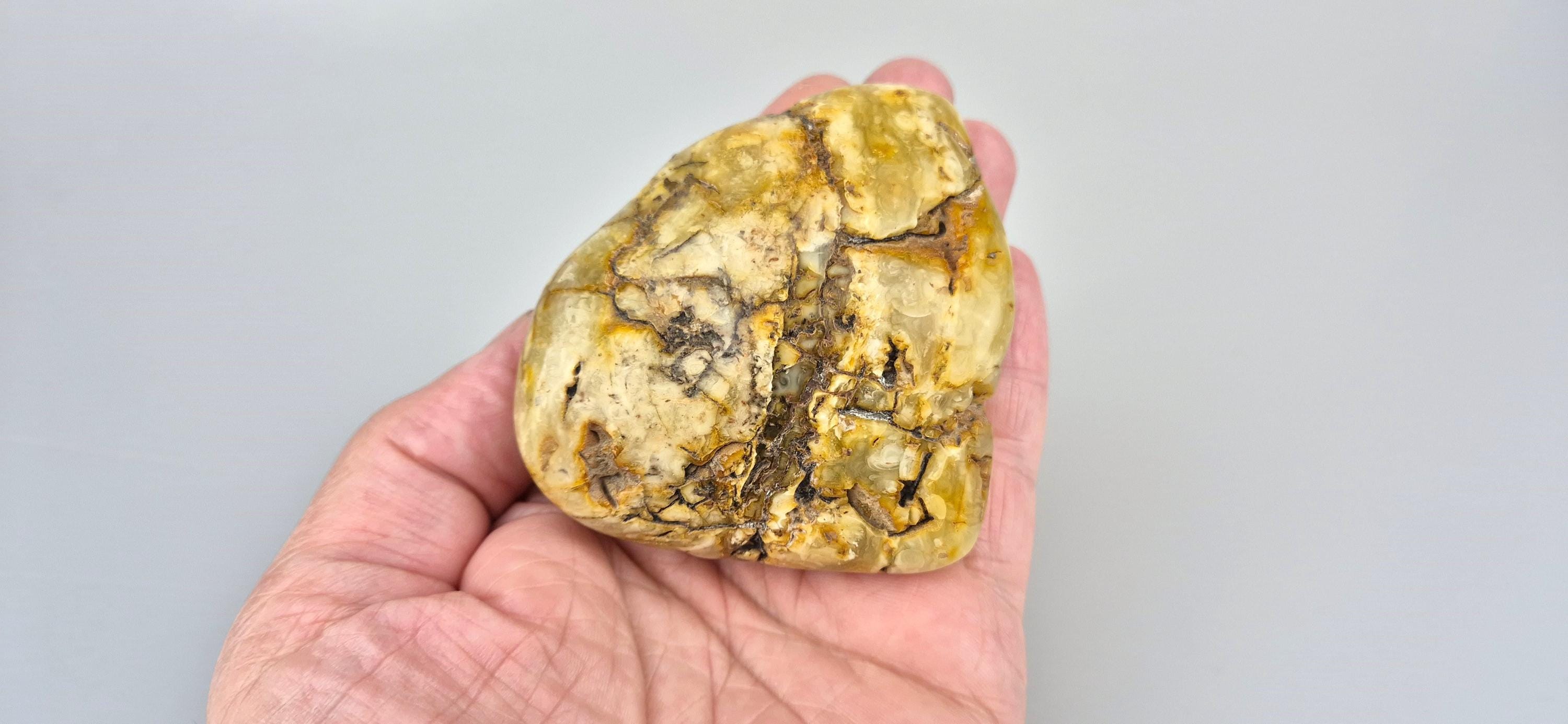 Collectible Baltic Amber Stone: Tree Inclusion, Lithuanian Jewelry Gift ...