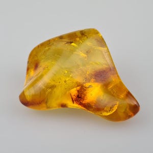 Amber Stone, Fly Inclusion in Amber, Fossiled Amber, Baltic Amber Insect, Bug in Amber, Rare Collectible Stone, Bernstein Einschlusse, Gift