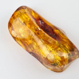 Brown Amber Stone, Rare Collectible Stone, Tree Inclusion in Amber, Fossiled Amber, Baltic Amber Insect, Bug in Amber, Bernstein Einschlusse