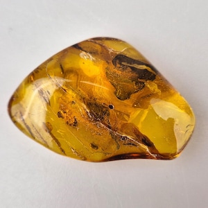Amber Insect, Inclusion in Amber, Fossiled Amber, Baltic Amber Insect, Natural Shape Amber, Rare Collectible Stone, Bernsetin Einschluss