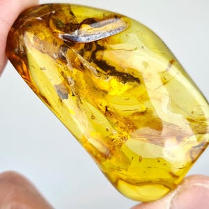 Huge Inclusion in Amber, Fossils in Baltic Amber, Rare Stones for Collection, Gemstones, Raw Amber Stones, Big Amber, Perfect for Meditation