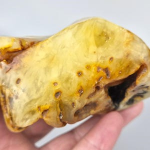 Big Amber Stone, Rare Collectible Stone, Baltic Amber Insect, Tree Inclusion in Amber, Fossiled Amber, Bug in Amber, Bernstein Einschlusse
