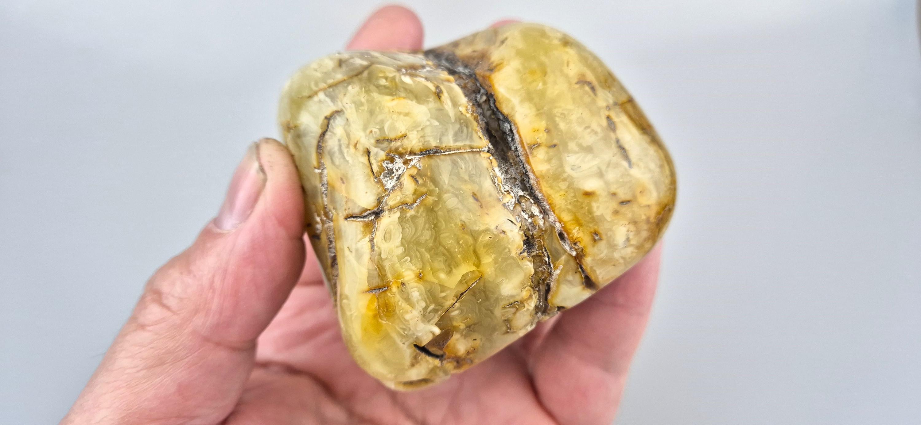 Collectible Baltic Amber Stone: Tree Inclusion, Lithuanian Jewelry Gift ...