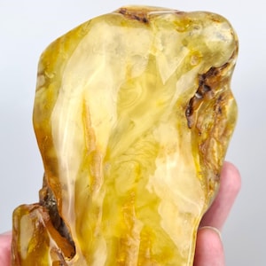 Rare Collectible Stone, Big Amber Stone, Baltic Amber Insect, Tree Inclusion in Amber, Fossiled Amber, Bug in Amber, Bernstein Einschlusse