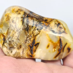 Amber Stone, Tree Inclusion in Amber, Fossiled Amber, Baltic Amber Insect, Bug in Amber, Rare Collectible Stone, Bernstein Einschlusse, Gift