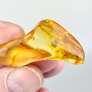 Fossils in Baltic Amber, Rare Stones for Collection, Huge Inclusion in Amber, Gemstones, Lithuanian Raw Amber Stones, Perfect for Meditation