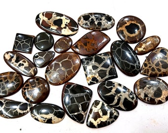 May include: A collection of 17 polished, natural, brown, black, and white,  stone cabochons. The stones have a unique,  patterned,  crackled,  and  mottled appearance.