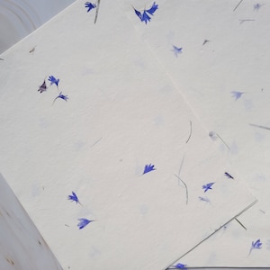 Blue Petal Handmade Beige Color Paper Card Stock 8.5" x 11" - A4 Himalayan Handmade Paper