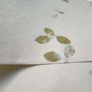 20" x 30" Green leaf embossed Handmade White Color Paper Card Stock - A1 Himalayan Handmade Paper image 2