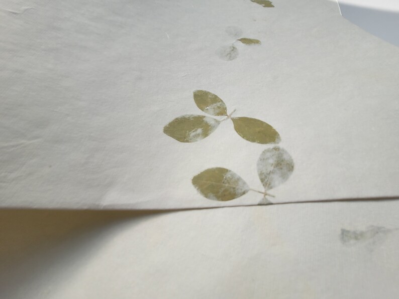 20" x 30" Green leaf embossed Handmade White Color Paper Card Stock - A1 Himalayan Handmade Paper image 2
