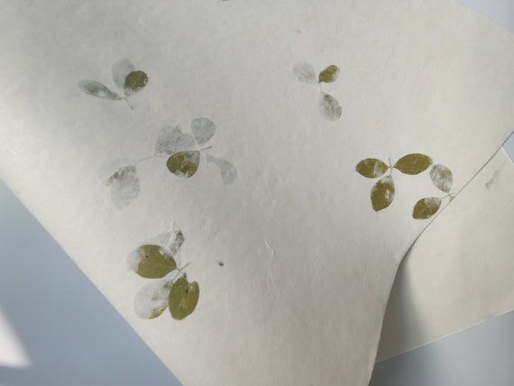 20" x 30" Green leaf embossed Handmade White Color Paper Card Stock - A1 Himalayan Handmade Paper