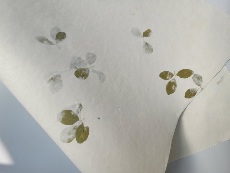 20" x 30" Green leaf embossed Handmade White Color Paper Card Stock - A1 Himalayan Handmade Paper image 1