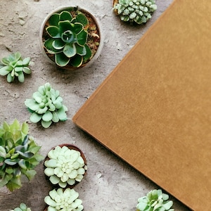 Feuille A4 de papier cartonné Kraft marron 260 g/m², dessin, projets de bricolage, arts et artisanat, scrapbooking, format lettre