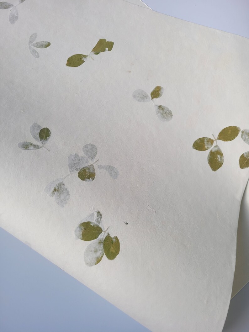 20" x 30" Green leaf embossed Handmade White Color Paper Card Stock - A1 Himalayan Handmade Paper image 3
