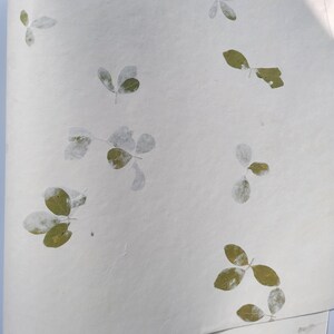 20" x 30" Green leaf embossed Handmade White Color Paper Card Stock - A1 Himalayan Handmade Paper image 5