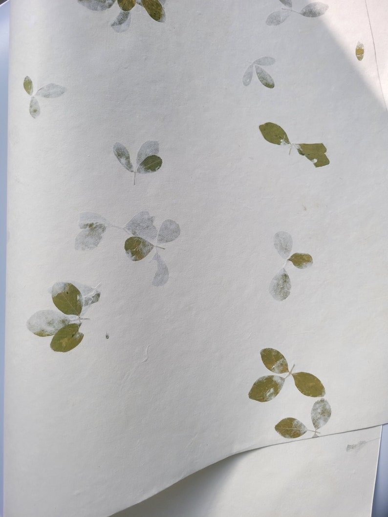 20" x 30" Green leaf embossed Handmade White Color Paper Card Stock - A1 Himalayan Handmade Paper image 5