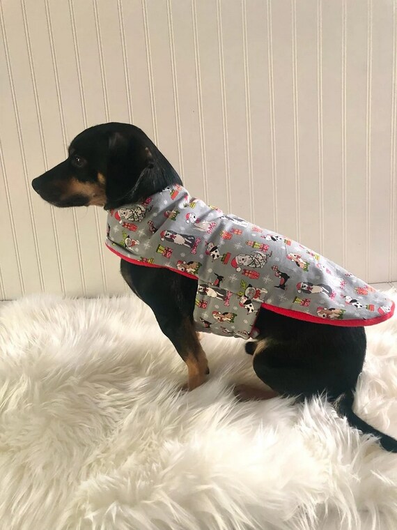chiweenie apparel