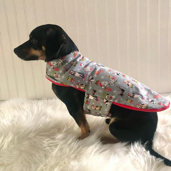 Chiweenie Clothes Etsy