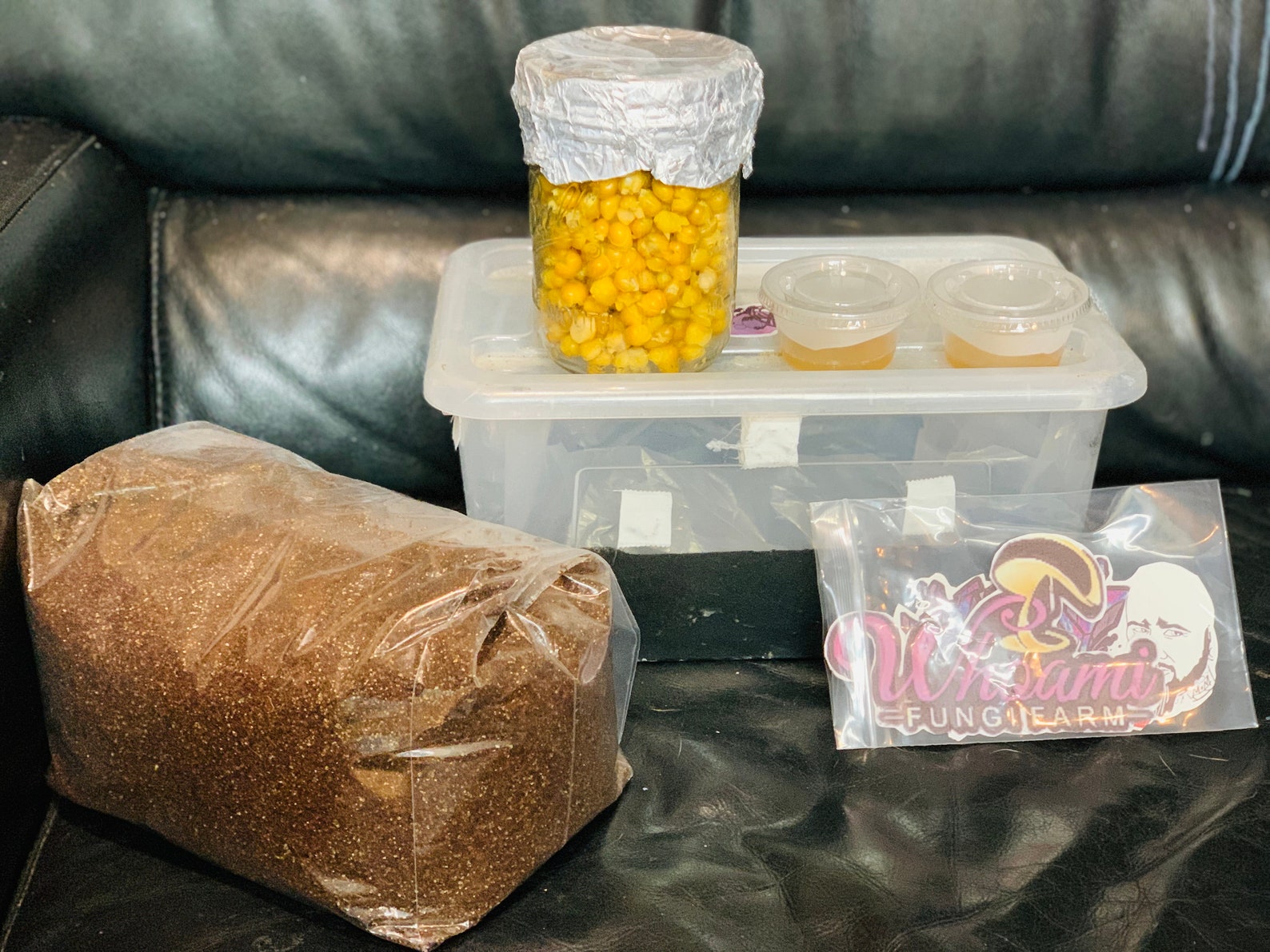 Modified Mini Monotub Mushroom Grow Kit Etsy Australia