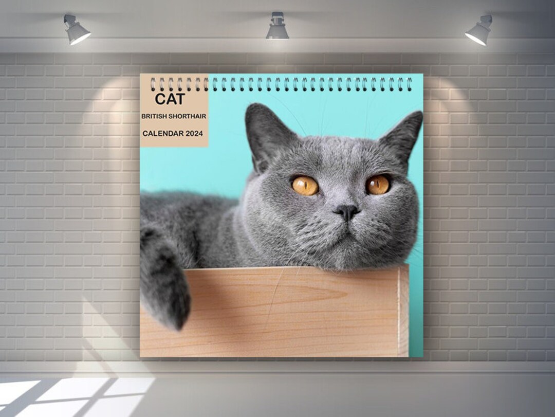 British Shorthair Cat Calendar 2024 Cat Calendar 2024 Etsy