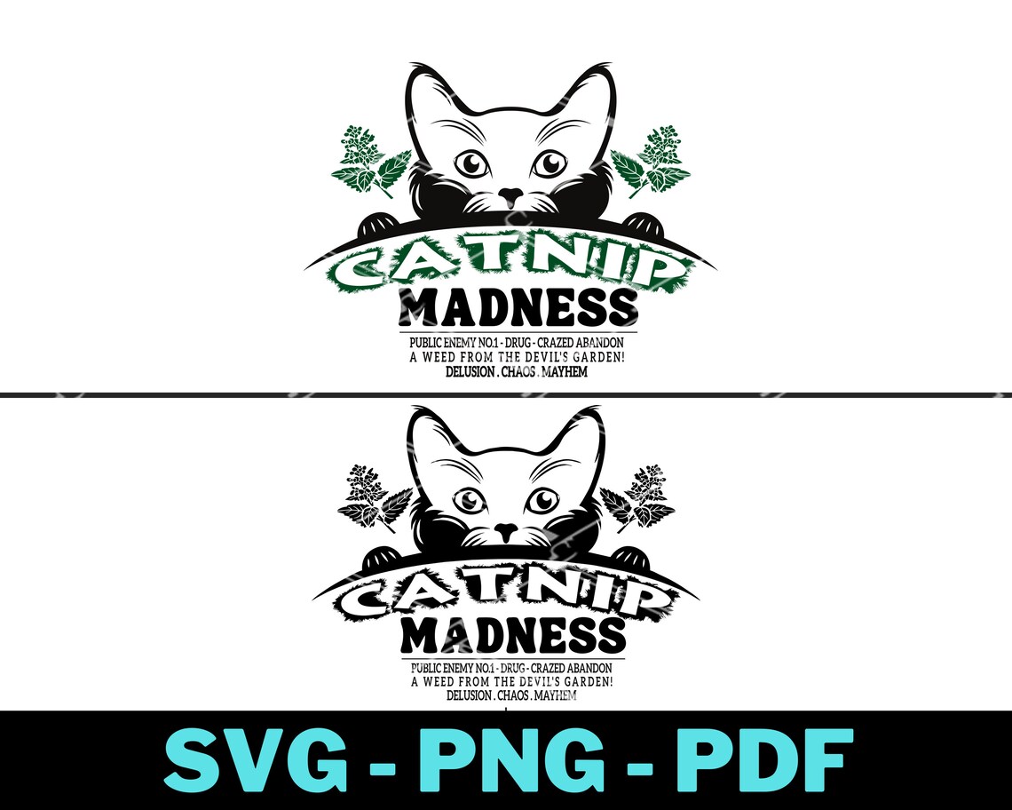 Catnip Madness SVG PNG, Funny Cat Svg, Cool Cat Svg, Cute Kitten PNG ...