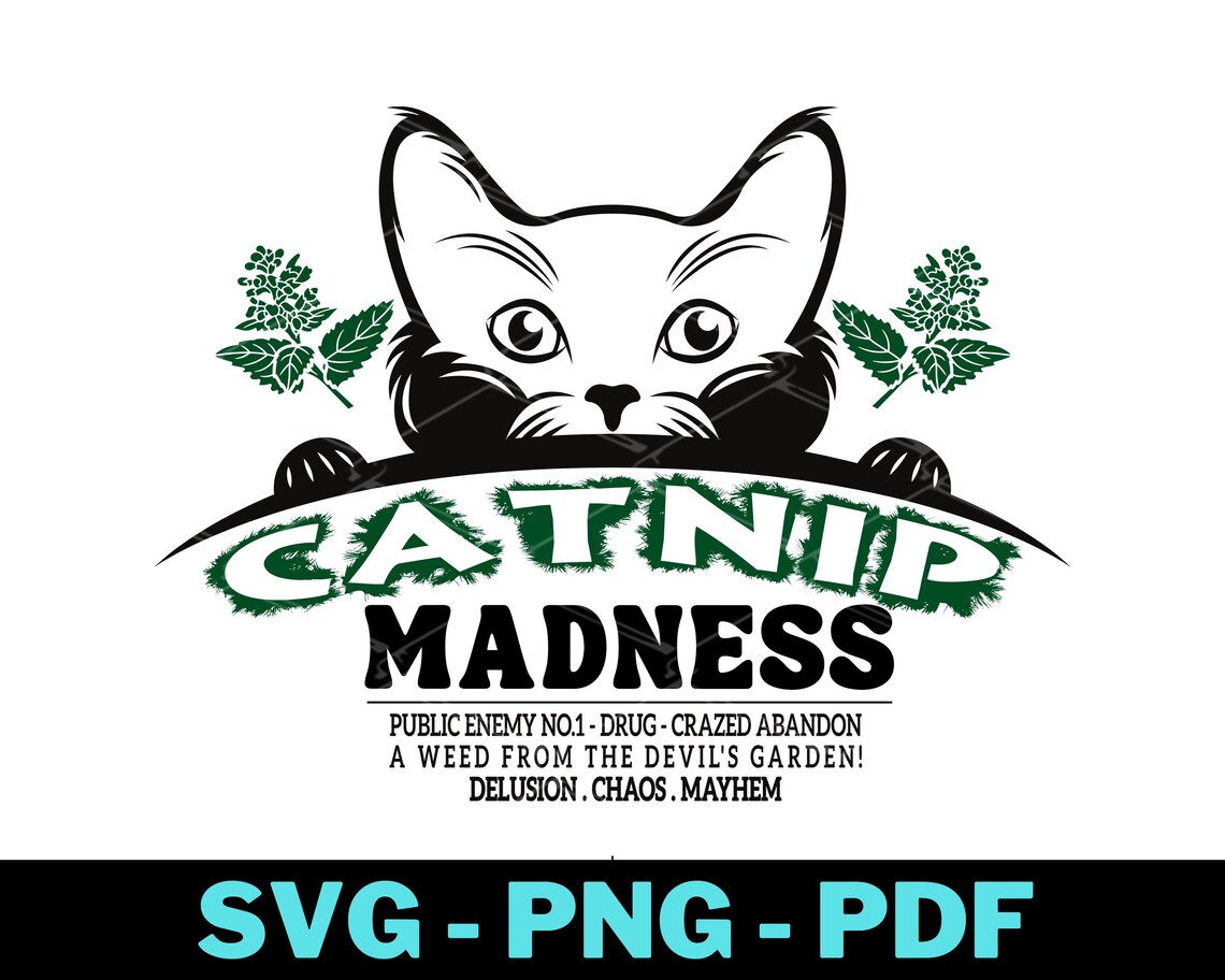 Catnip Madness SVG PNG, Funny Cat Svg, Cool Cat Svg, Cute Kitten PNG ...