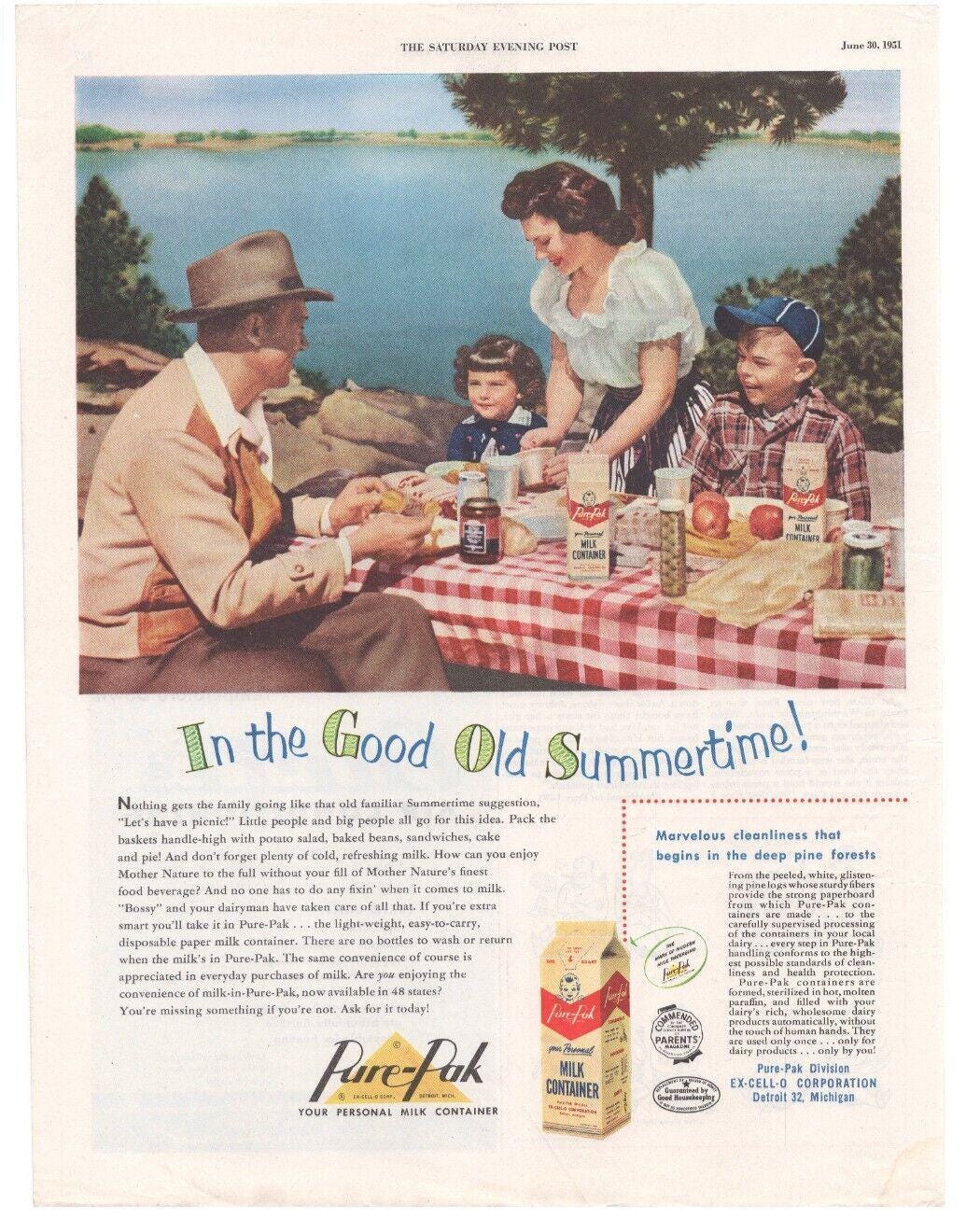 Vintage Original Pure Pak Milk Container Magazine Advertisement