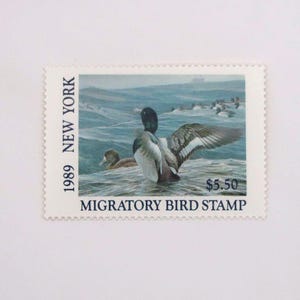 New York Migratory Bird Stamp Ducks Waterfowl Vintage 1989