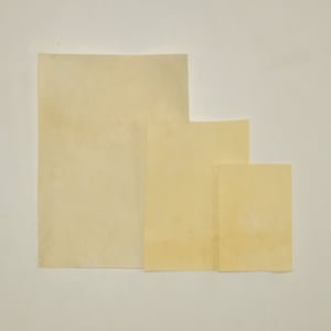 natural parchment sheet