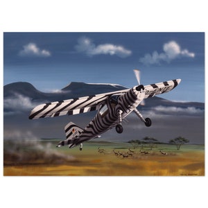Thijs Postma - Poster - Dornier Do 27 Grzimek Serengeti