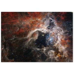 NASA - Poster - Aluminum - 8. Tarantula Nebula (NIRCam Image) - James Webb Space Telescope