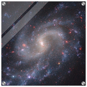 NASA - Poster - Acrylic - 26. NGC 5584 (Webb NIRCam + Hubble WFC3) - James Webb Space Telescope