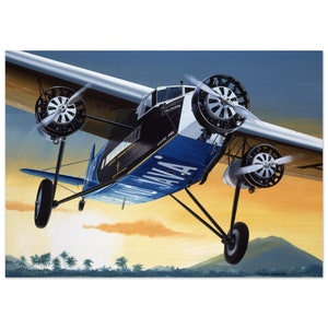 May include: A vintage black and blue aeroplane with the word "AVIA" on the side, flying over a tropical landscape with palm trees and a mountain in the background. The aeroplane has a white propeller and a white stripe on the side.