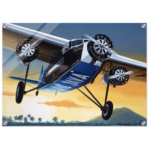 May include: A vintage airplane with a blue and black paint scheme, the words "AVIA" and "PELIKAN" are visible on the side of the plane. The plane is flying over a tropical landscape with palm trees and a mountain in the background.
