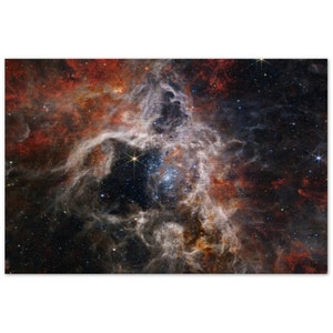 NASA - Poster - Brushed Aluminum - 8. Tarantula Nebula (NIRCam Image) - James Webb Space Telescope