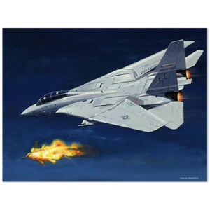 Thijs Postma - Poster - Grumman F-14 Tomcat Shooting Down A MiG-23