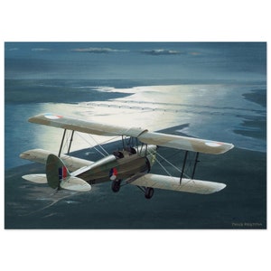 Thijs Postma - Poster - De Havilland DH.82A Tiger Moth Over Moerdijk