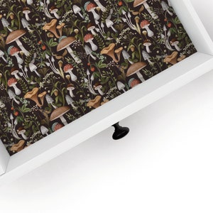 Calla | Drawer Liner | Shelf Liner | Contact Paper | Home Decor | Peel and Stick | Adhesive & Non Adhesive