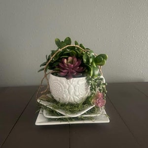 White Owl Mug with Faux Succulent and Jade Arrangement, Stacked Plates with Moss, Mother&#39;s Day, Mom Gift, Gift for Her
