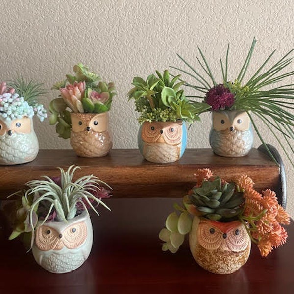 Small Owl Planters with Faux Succulent Arrangements, Tiered Tray Decor, Shelf Sitter, Windowsill Decor, Gift for Her, Owl Lover Decor