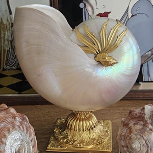 May include: A large, pearlescent nautilus shell mounted on a gold-colored, ornate pedestal. The shell has iridescent hues of pink and green. The pedestal is square with detailed carvings. Two other shells are visible on either side.