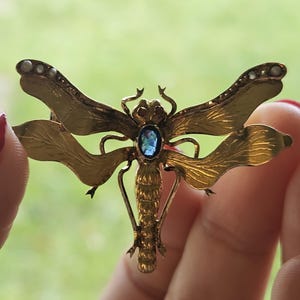 May include: A gold dragonfly brooch with detailed wings and pearl embellishments. The body features a blue oval gemstone. The brooch is held up against a blurred green background. The wings have delicate veining.