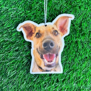 Personalized Air Freshener from Photo, Dog Air Freshener, Cute Car Accessories Face Freshener Car Freshies Funny Car Decor Personalized Gift