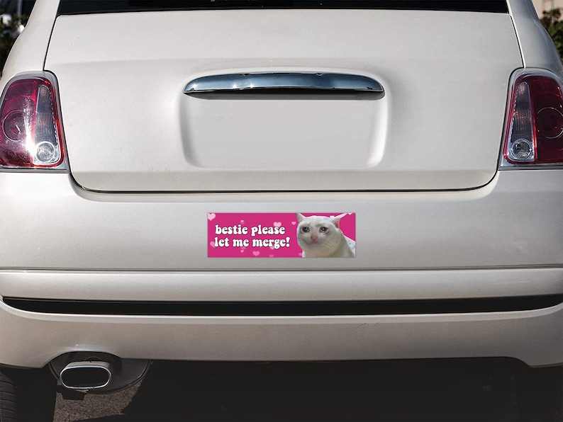 Peut inclure: Autocollant de pare-chocs rectangulaire rose avec le texte "bestie please let me merge!" et une image de chat qui pleure. Le sticker est orn&eacute; de petits coeurs.