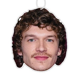 May include: Oval air freshener with a man's face, curly brown hair, blue eyes, and a moustache. It has a white border and a string for hanging. A decorative item for a car or room.