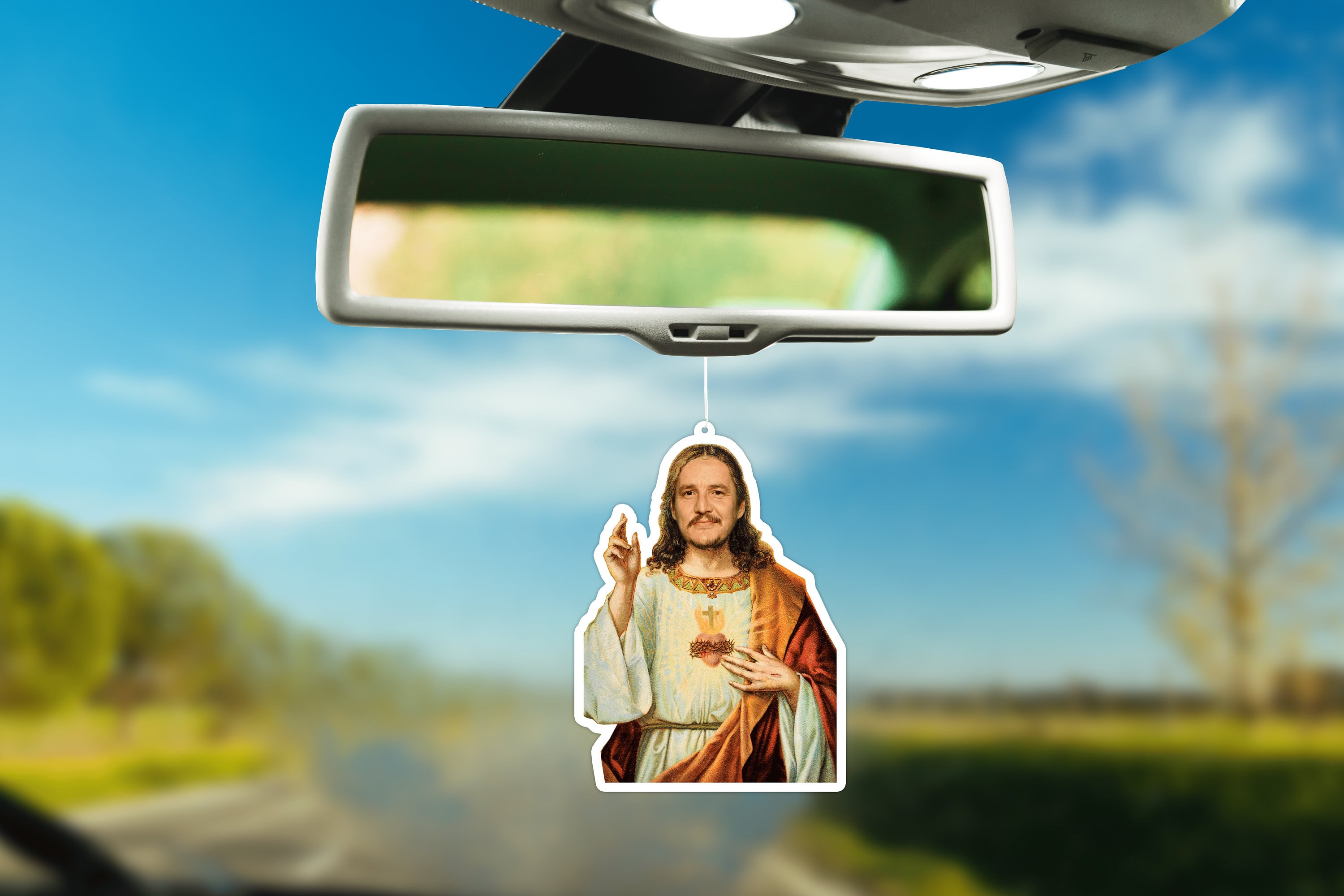 Funny car sunshade - .de