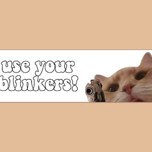 Use Your Blinkers Cat Funny Gen Z Meme Bumper Sticker & Car Magnet