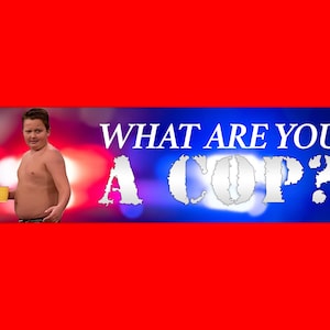 What Are You A Cop? Funny Gen Z Meme Bumper Sticker & Car Magnet