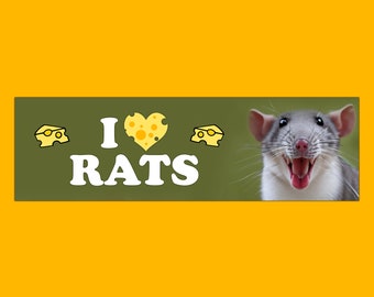 I Love Rats Funny Gen Z Meme Bumper Sticker & Car Magnet