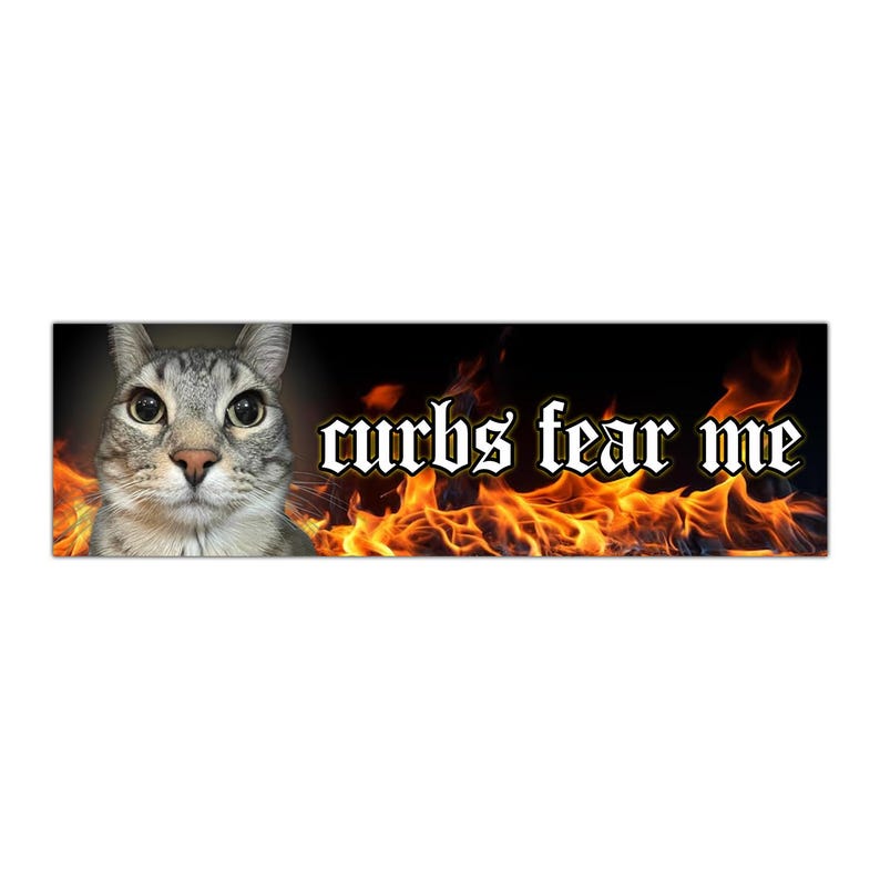 Curbs Fear Me Unhinged Cat Funny Meme Bumper Sticker, Car Magnet image 1